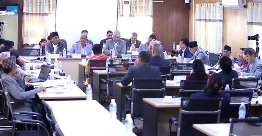 सरकारद्वारा गैरआवासीय नेपाली सम्बन्धी विधेयकको मस्यौदा तयार
